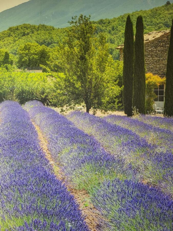Chambre D Hotes Au Coeur Des Oliviers Marseille Exteriör bild